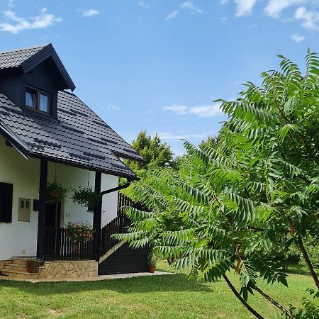 Apartman Poznanovic Apartment Rakovica Exterior photo